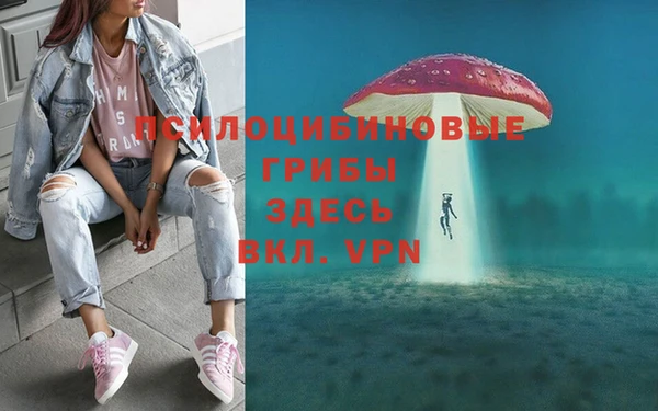 СК Алексеевка